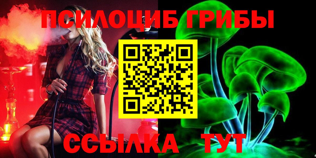 Псилоцибиновые грибы мицелий Благовещенск